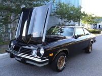 1975 Chevrolet Vega for sale in Michigan (ID-130413)