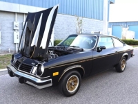 1975 Chevrolet Vega for sale in Michigan (ID-141130)