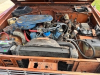 1975 Ford Bronco for sale in Michigan (ID-142248)