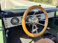 1975 Ford Bronco for sale in Michigan (ID-142350)
