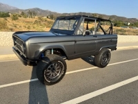 1975 Ford Bronco for sale in Michigan (ID-143342)