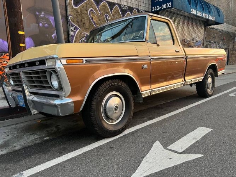 1975 Ford F100 for sale in Michigan (ID-110021)