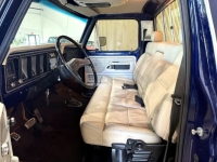 1975 Ford F100 for sale in Michigan (ID-142514)