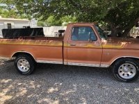 1975 Ford F150 for sale in Michigan (ID-101082)