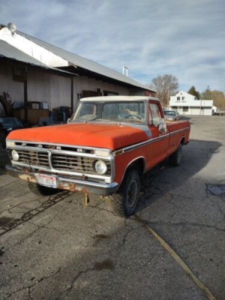 1975 Ford F150 for sale in Michigan (ID-102083)
