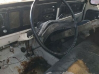 1975 Ford F150 for sale in Michigan (ID-102083)