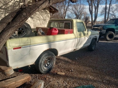 1975 Ford F150 for sale