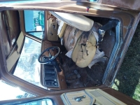 1975 Ford F250 for sale in Michigan (ID-138353)