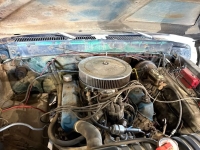 1975 Ford F250 for sale in Michigan (ID-140304)