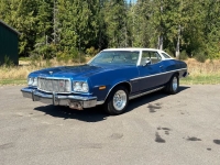 1975 Ford Gran Torino for sale in Michigan (ID-156039)