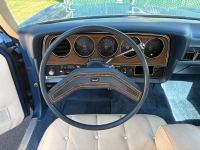 1975 Ford Gran Torino for sale in Michigan (ID-156039)