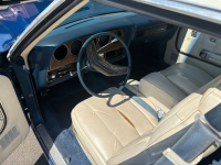 1975 Ford Gran Torino for sale in Michigan (ID-156039)