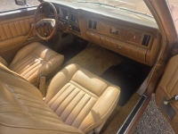 1975 Ford Granada for sale in Michigan (ID-163730)