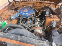 1975 Ford Granada for sale in Michigan (ID-163730)