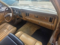 1975 Ford Granada for sale in Michigan (ID-163730)