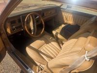 1975 Ford Granada for sale in Michigan (ID-163730)