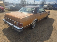 1975 Ford Granada for sale in Michigan (ID-163730)