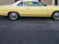 1975 Ford LTD for sale in Michigan (ID-120196)