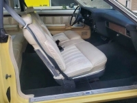 1975 Ford LTD for sale in Michigan (ID-120196)