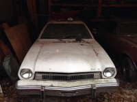 1975 Ford Pinto for sale (ID-100643)