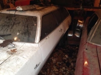 1975 Ford Pinto for sale (ID-100643)