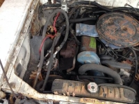 1975 Ford Pinto for sale (ID-100643)