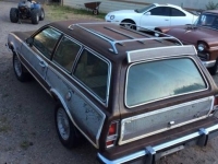 1975 Ford Pinto for sale in Michigan (ID-145585)