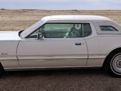 1975 Ford Thunderbird for sale