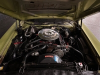 1975 Ford Torino for sale in Addison, Illinois (ID-118038)