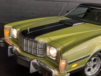 1975 Ford Torino for sale in Addison, Illinois (ID-118038)