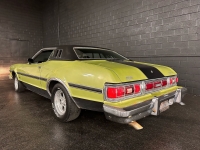1975 Ford Torino for sale in Addison, Illinois (ID-118038)