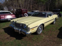 1975 Ford Torino for sale in Michigan (ID-124145)
