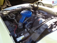 1975 Ford Torino for sale in Michigan (ID-124145)