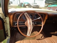 1975 Ford Torino for sale in Michigan (ID-124145)