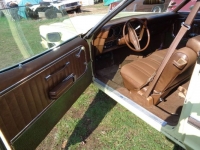 1975 Ford Torino for sale in Michigan (ID-124145)
