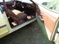 1975 Ford Torino for sale in Michigan (ID-124145)