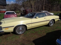 1975 Ford Torino for sale in Michigan (ID-124145)