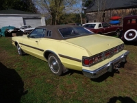 1975 Ford Torino for sale in Michigan (ID-124145)