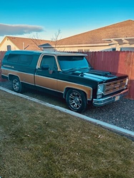 1975 GMC C1500 for sale in Michigan (ID-125756)