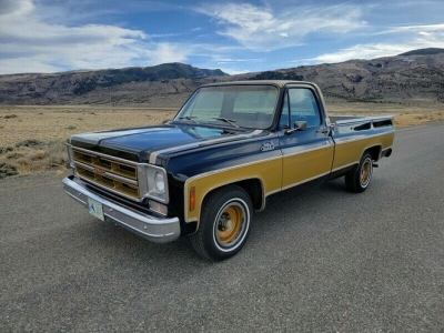 1975 GMC CK1500 for sale