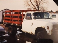 1975 International Harvester for sale in Michigan (ID-106531)