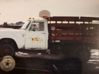 1975 International Harvester for sale in Michigan (ID-106531)