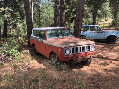 1975 International Scout for sale