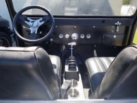 1975 Jeep CJ5 for sale in Michigan (ID-120849)
