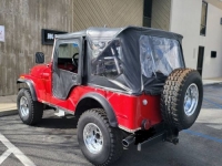 1975 Jeep CJ5 for sale in Michigan (ID-126161)