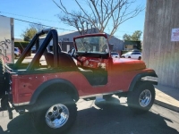 1975 Jeep CJ5 for sale in Michigan (ID-126161)