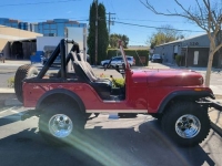 1975 Jeep CJ5 for sale in Michigan (ID-126161)