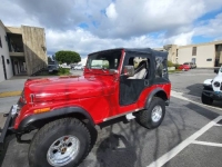 1975 Jeep CJ5 for sale in Michigan (ID-126161)