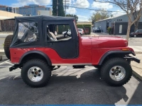 1975 Jeep CJ5 for sale in Michigan (ID-126161)