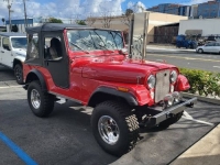 1975 Jeep CJ5 for sale in Michigan (ID-126161)